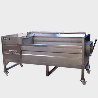 Brush Washing and Peeling Machine 